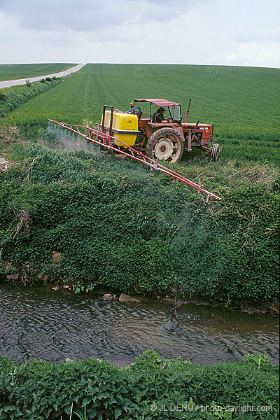 agriculture